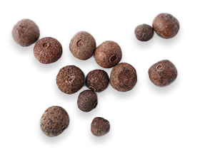 ginger root for joint health