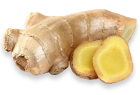 French maritime pine bark for joint health